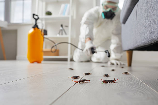 Commercial Kitchen Cockroach Control in South St. Paul